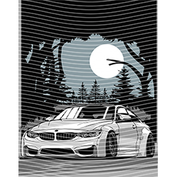 Car-CA 491